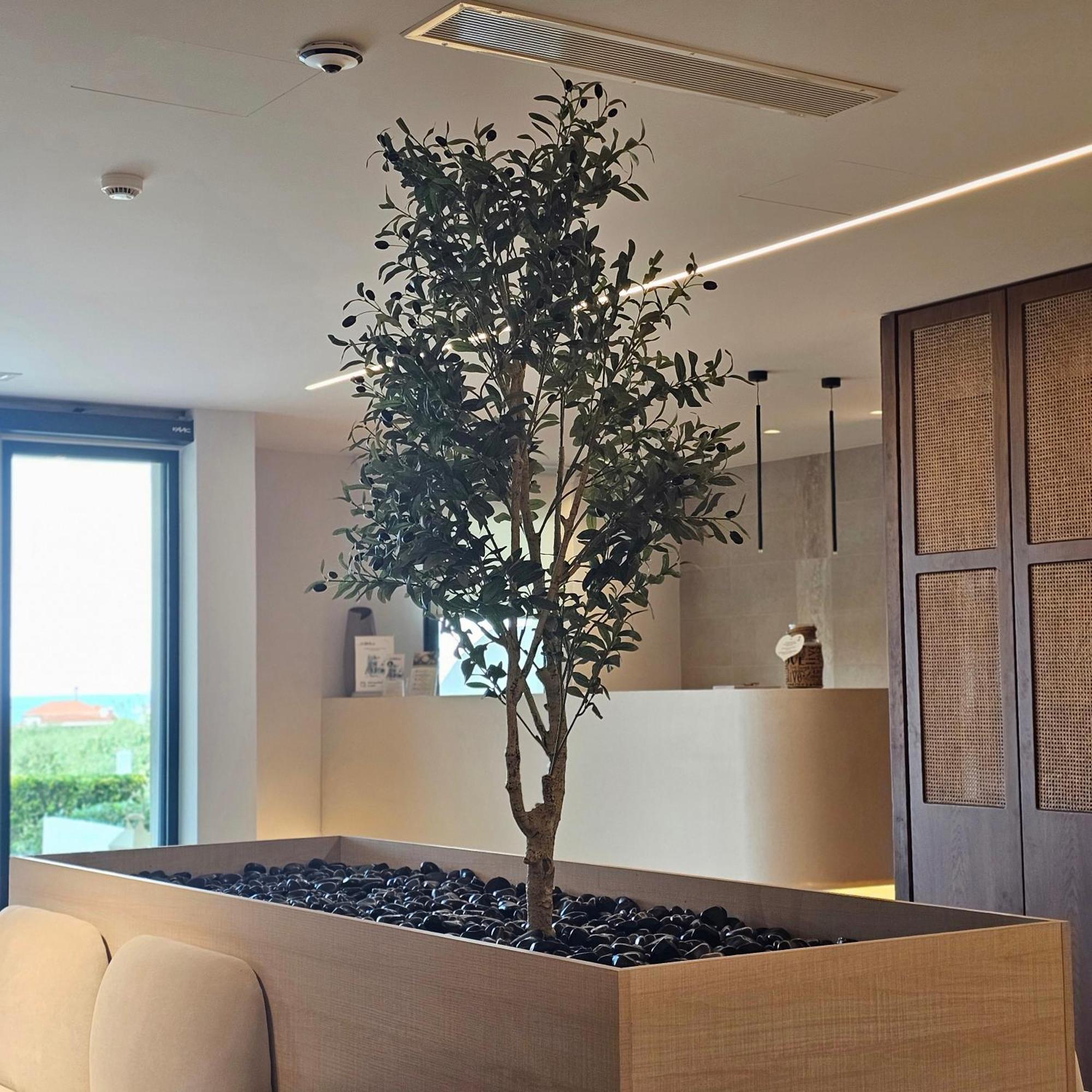 Ocean Beach Hotel スカラ・ポタミアス エクステリア 写真